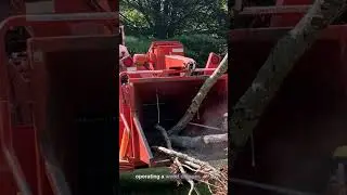 Are Wood Chippers Dangerous? #safetytips