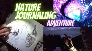 Intertidal Zone: Nature Journal Adventure!