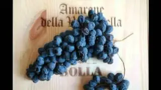 Appassimento dell' Amarone Bolla