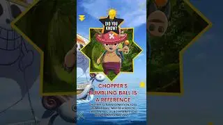 One Piece Fun Facts