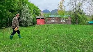 Wild Herb Omelet Cooked on Fire in the Mountains | Brick Oven Recipe