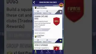 Fifa 18 - The Lunar SBC that I submitted (Raining Cats and Dogs)