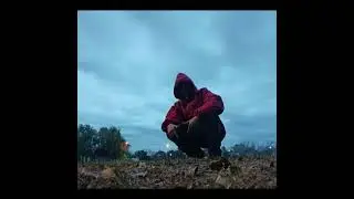 SATO WAN - VALORES