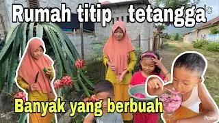 RUMAH DI TINGGAL TETANGGA YANG PANEN⁉️ MAKIN BANYAK BUAH NYA