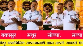 बेंदूर बैलपोळा निमित्त तुमच्या घरी घेऊन जावा बकासुर, सोन्या, मथुर, मन्या, #निसर्गाची_नाळ