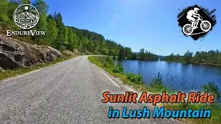 ☀️ Sunlit Asphalt Ride in Lush Mountain 🚴