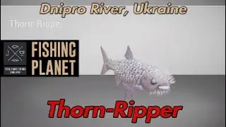 Thorn-Ripper Река Днепр Украина Fishing Planet Guide