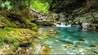 Gentle River Sounds and Soft Flowing Emerald River - No Music