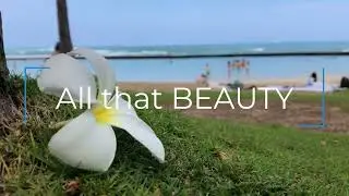 All That Chaz Intro Video