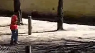 catch that llama