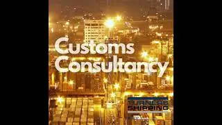 Customs Consultancy
