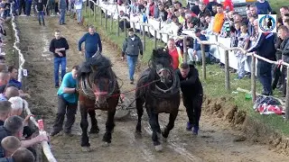 -Ducelja (Denis i Rubin ) drugi u srednjoj Jakupovaca -