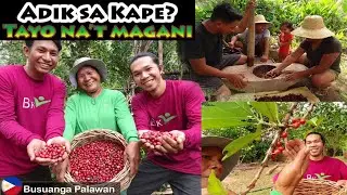 Vlg51-Part1- Pamimitas ng bunga ng kape | Traditional making kapeng barako | Buhay probinsya