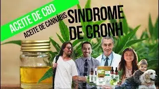CANNABIS MEDICINAL TESTIMONIOS: SINDROME DE CROHN y CBD ACEITE DE MARIHUANA O CANNABIS