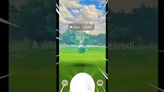 Caught wild shiny latios after million attempts #shorts #latios #ultragoo #pokemon #catch #shiny
