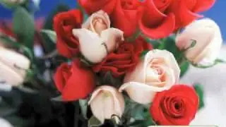 Grower Direct Fresh Cut Flowers - Red Deer