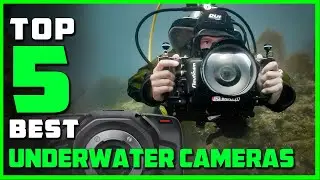 Top 5 Best Underwater Cameras Reviews 2023 [RANKED]
