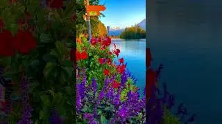 MUST SEE TRAIN VIEW SWITZERLAND   seat position to get the best  #switzerland #exploravista
