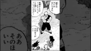 チャオズは置いてきた【PEAK】