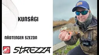 Csatornapeca szezON - ismét eljött a végeláthatatlan nádtenger ideje a Kunságin | Strezza Fishing