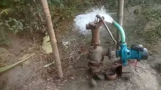 Leo 1hp 2'' delivery pump motor.#viral #viralvideo #water #pumpmotor #bdkrishi