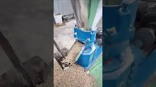 small feed pellet machine with three roller #agriculture #farming