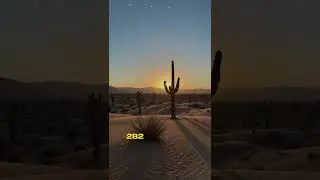 Highest Temperature EVER Recorded in Death Valley!