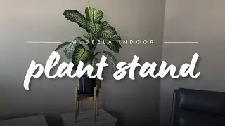 Elevate Your Indoor Plants with the Mudeela Bamboo Plant Stand