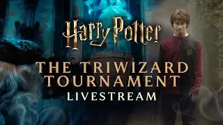 🔴 LIVE: Harry Potter | Triwizard Tournament | 24/7 Livestream