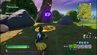 Purple XP Coin! O: Fortnite_2020