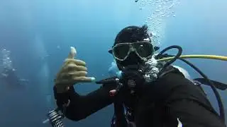 January 25, 2026 My first minky whale ELNIDO PALAWAN.