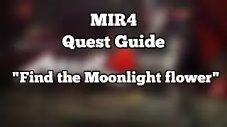 MIR4 Quest Guide for beginners 