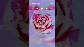 Rose (Color Planet) #rose #flowers #trending  #shorts