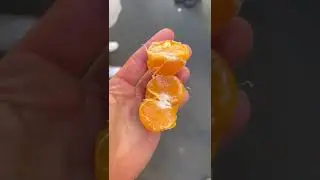Paris Walking Food Tour