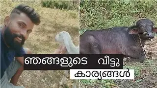 എന്റെ പ്രദേശം | SATHYA VLOG | ഒരു ചെറിയ വ്ലോഗ് 😁