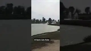 Al Qudra Lake Dubai🇦🇪#alqudralake #lovelakedubai #travel #dubai #ytshorts #shortsfeed #shorts #views