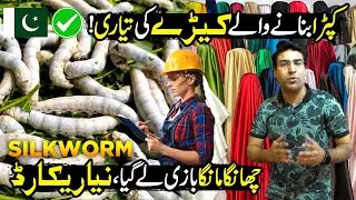 Amazing Silk Cocoon Harvest In Largest Processing Farm | Silk Made From Silkworm | Made In Pakistan