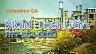 Mold Test USA Columbus GA - Mold Testing and Inspections