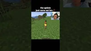 Minecraft Baby Chicken Moment