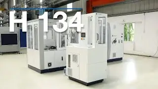 H134 &ndash; Fully automated Brush Handle Feeding System