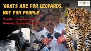 &lsquo;Goats Are for Leopards, Not for People&rsquo;: Minister&rsquo;s Directive Amid Growing Pune Rural Panic