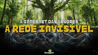 A INTERNET DAS ÁRVORES: Como a Floresta Conversa no Subsolo (Wood Wide Web)