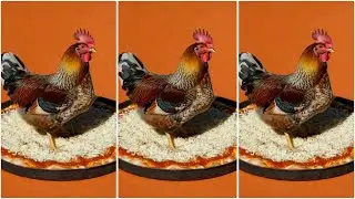 Food-Parody  Animation Very Satisfying ASMR Part 2
