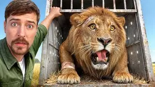 MrBeast | I saved 1000 animals in this video | MrBeast Indian Fanbase