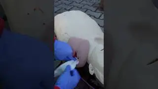 First Aid on a G_n Sh0t Wound 🩸🚑 #ambulance #paramedic #emergency #firstaid #hospital #nurse