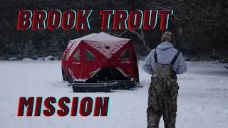 FIRST TIME TROUT FISHING! (ever)