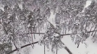 Relaxing aerial view in snow. Chillout music by Leftie