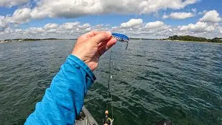 BLITZING STRIPERS caught from the Kayak in Buzzards Bay! (CAPE COD)