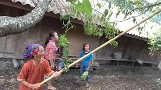 De tsi taub os