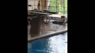 USA Diving Junior Olympics National qualifier 2016